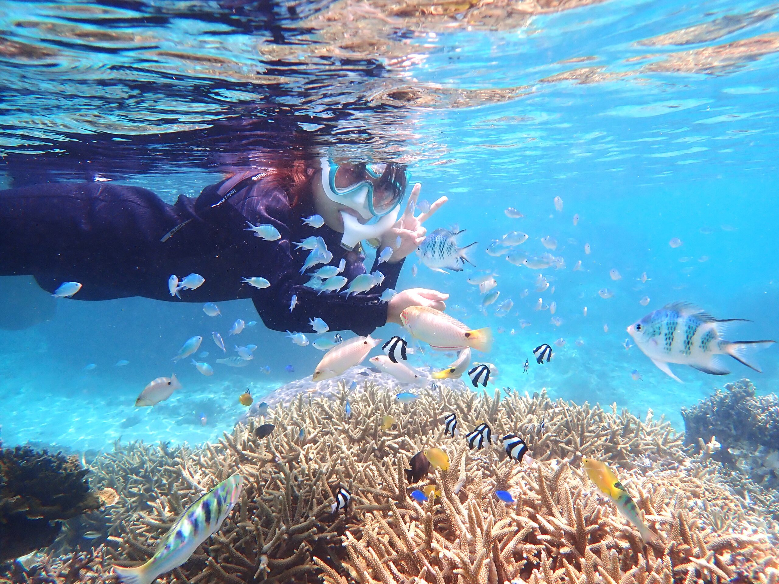 自然体験ジョン万パーク 天然水族感 家族旅行