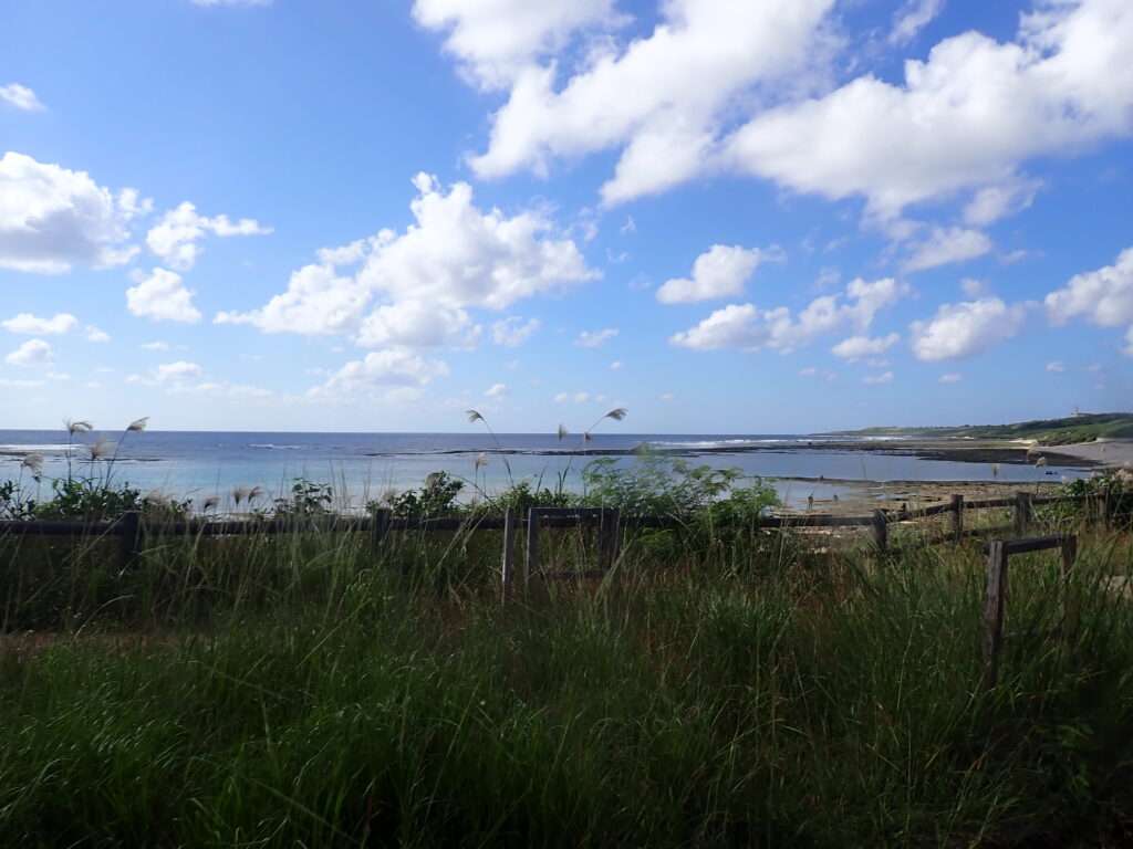 海開き前の3月も沖縄の海を体験