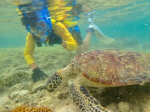 自然体験天然水族感ウミガメと子供