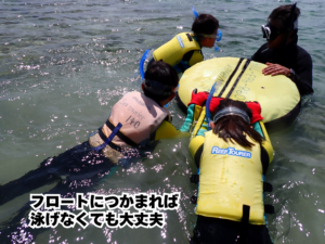 自然体験パーク天然水族感 大度海岸ジョン万ビーチ 泳がず覗くだけで魚と会える