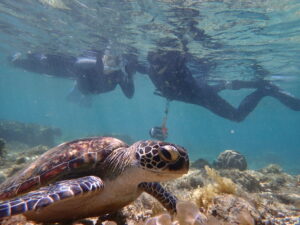 ジョン万ビーチ 天然水族感