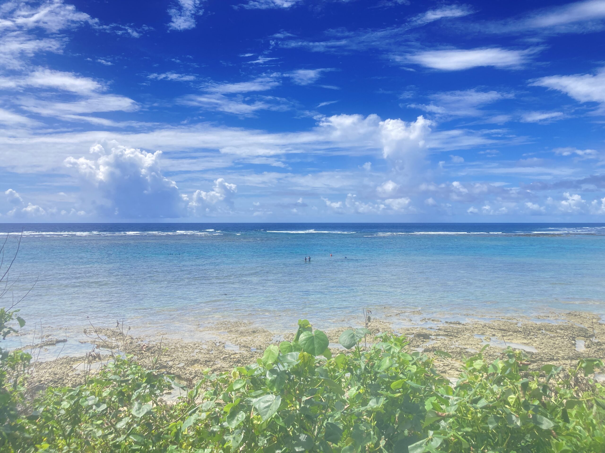 ジョン万ビーチ 天然水族感