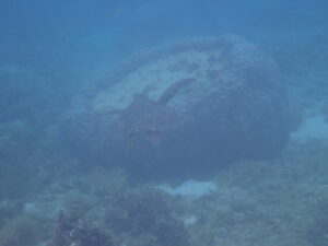 ジョン万ビーチ 天然水族感