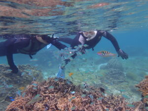 ジョン万ビーチ 天然水族感
