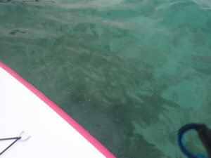 ジョン万ビーチ 天然水族感