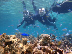 ジョン万ビーチ 天然水族感