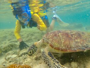 自然体験パーク天然水族感 大度海岸ジョン万ビーチ 足が着くところでウミガメと遊ぶ