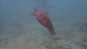 自然体験ジョン万パーク 天然水族感
