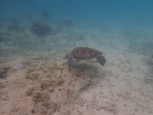 自然体験ジョン万パーク 天然水族感