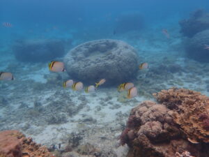 自然体験ジョン万パーク 天然水族感