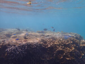 自然体験ジョン万パーク 天然水族感