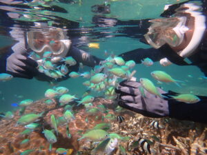 自然体験ジョン万パーク 天然水族感