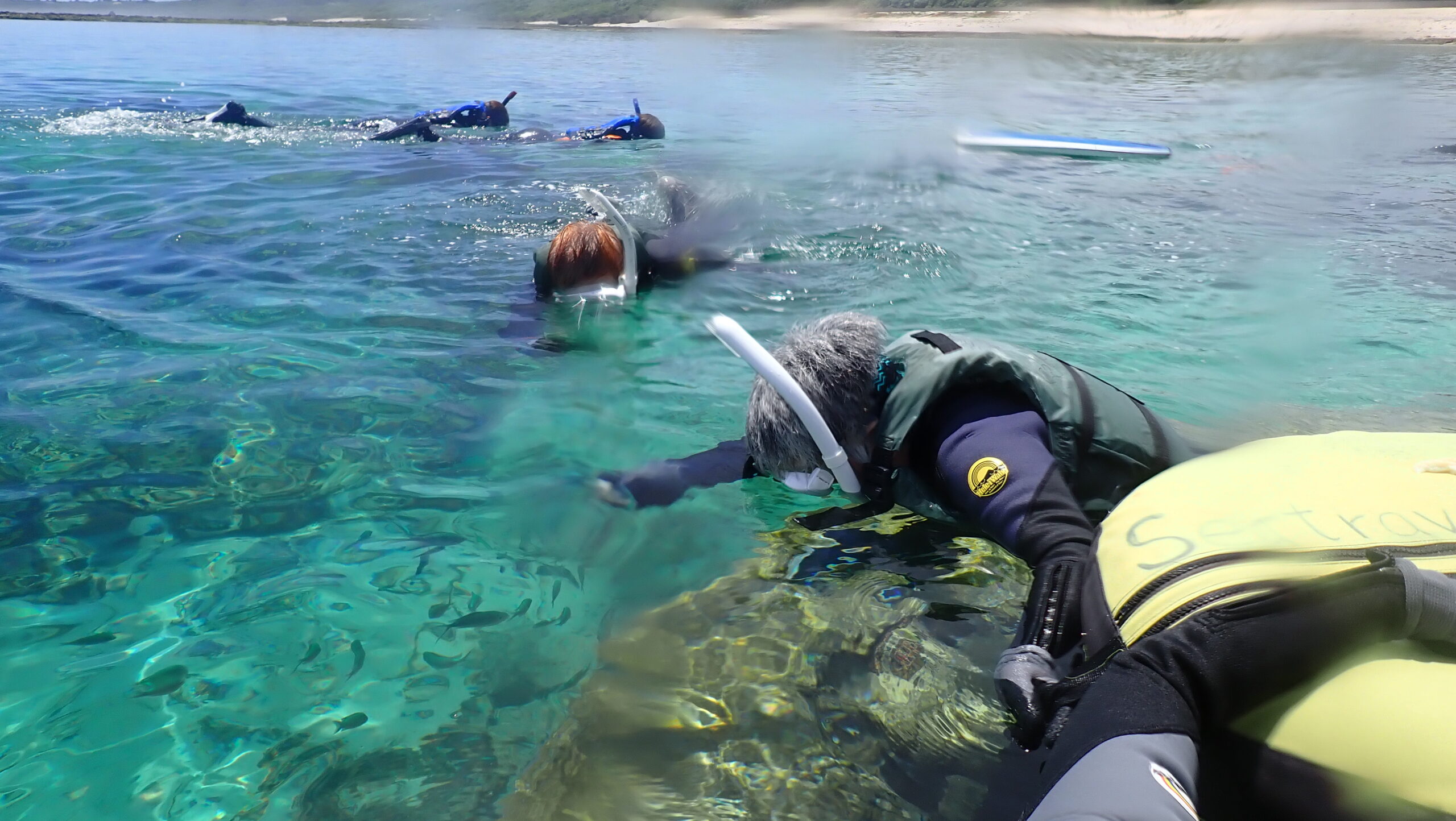自然体験ジョン万パーク 天然水族感