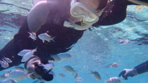 自然体験ジョン万パーク 天然水族感