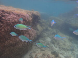 自然体験ジョン万パーク 天然水族感