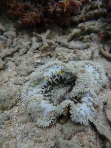 自然体験ジョン万パーク 天然水族感