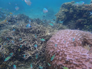 自然体験ジョン万パーク 天然水族感