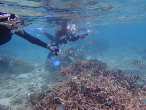 自然体験ジョン万パーク 天然水族感