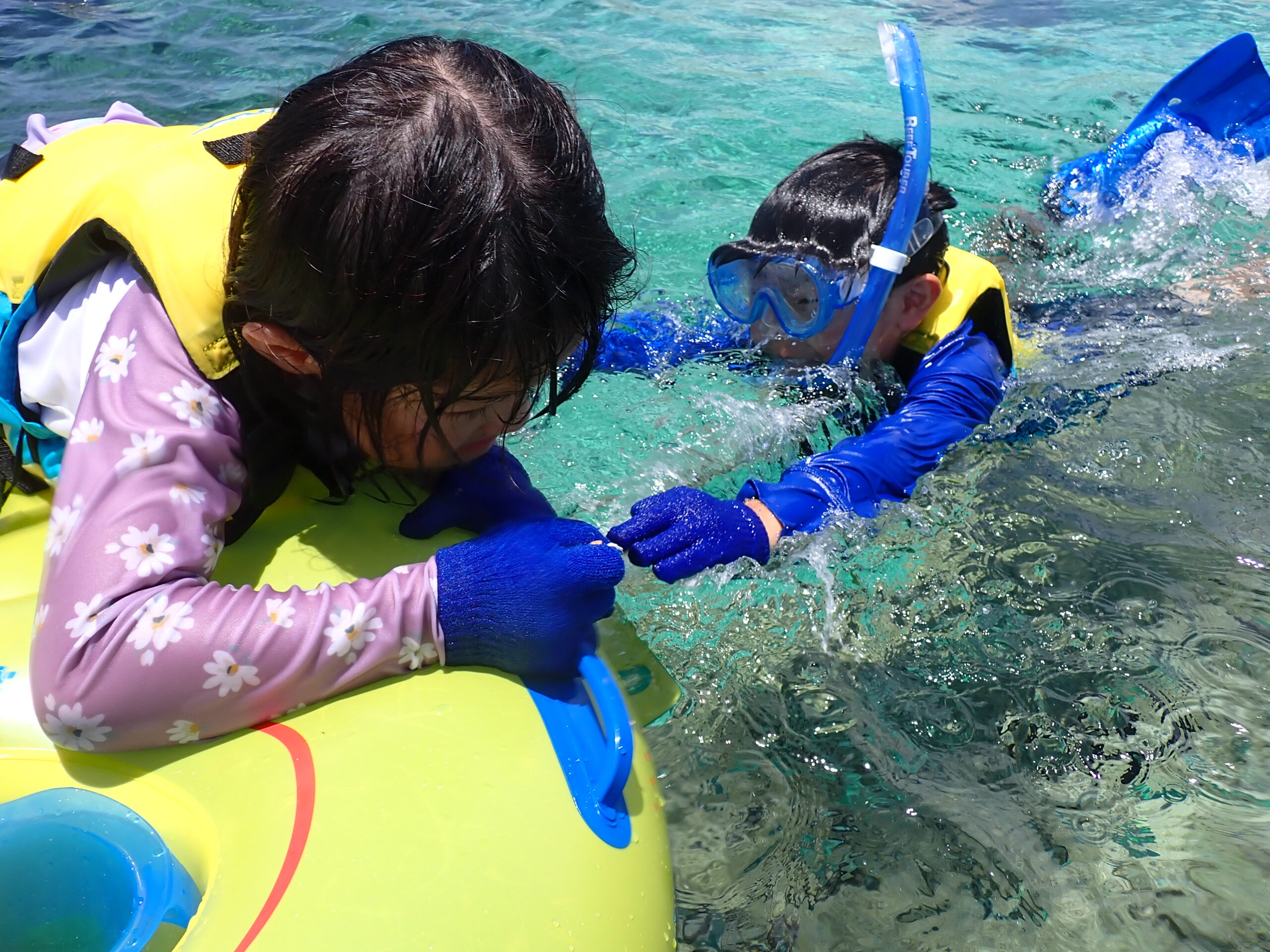 自然体験沖縄天然水族感ふれあい体験