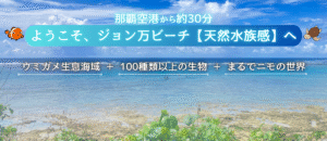 自然体験ジョン万パーク 天然水族感