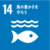 14海の豊かさを守ろう