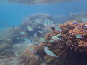 自然体験ジョン万パーク 天然水族感 子供