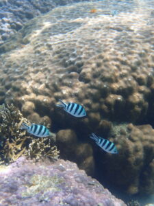 自然体験ジョン万パーク 天然水族感 30代1人参加