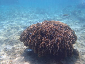 自然体験ジョン万パーク 天然水族感 7名家族