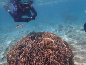 自然体験ジョン万パーク 天然水族感 7名家族