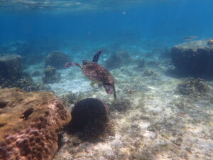 自然体験ジョン万パーク 天然水族感 貸切プラン 60代