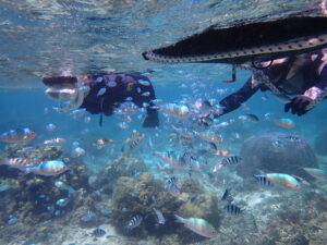 自然体験ジョン万パーク 天然水族感 貸切プラン 60代