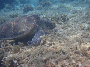 自然体験ジョン万パーク 天然水族感 20代家族