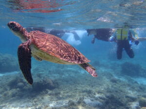 自然体験ジョン万パーク 天然水族感 20代家族