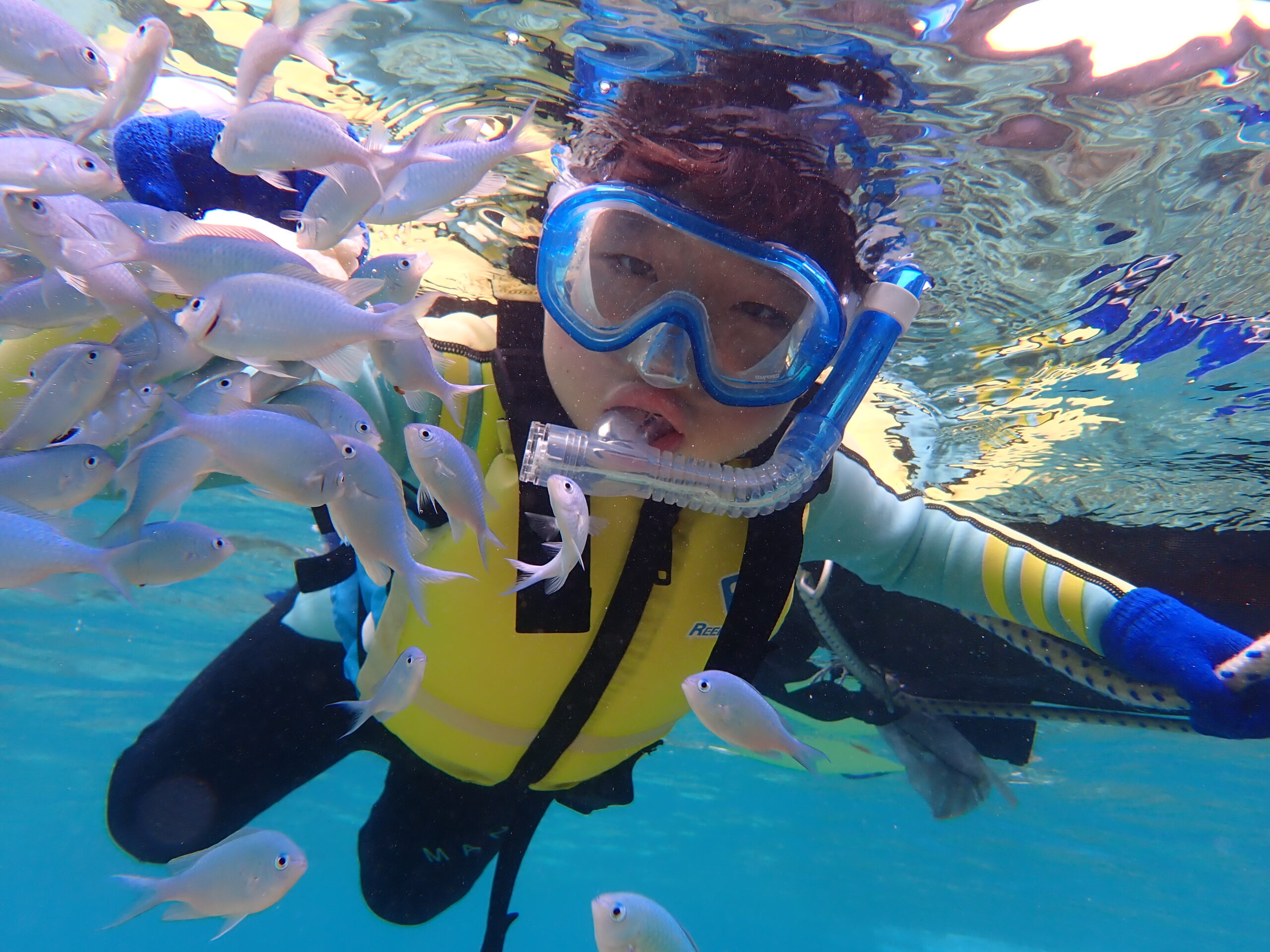 自然体験ジョン万パーク 天然水族感 家族 初海