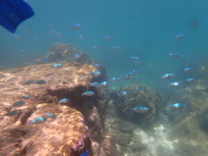 自然体験ジョン万パーク 天然水族感 4人家族