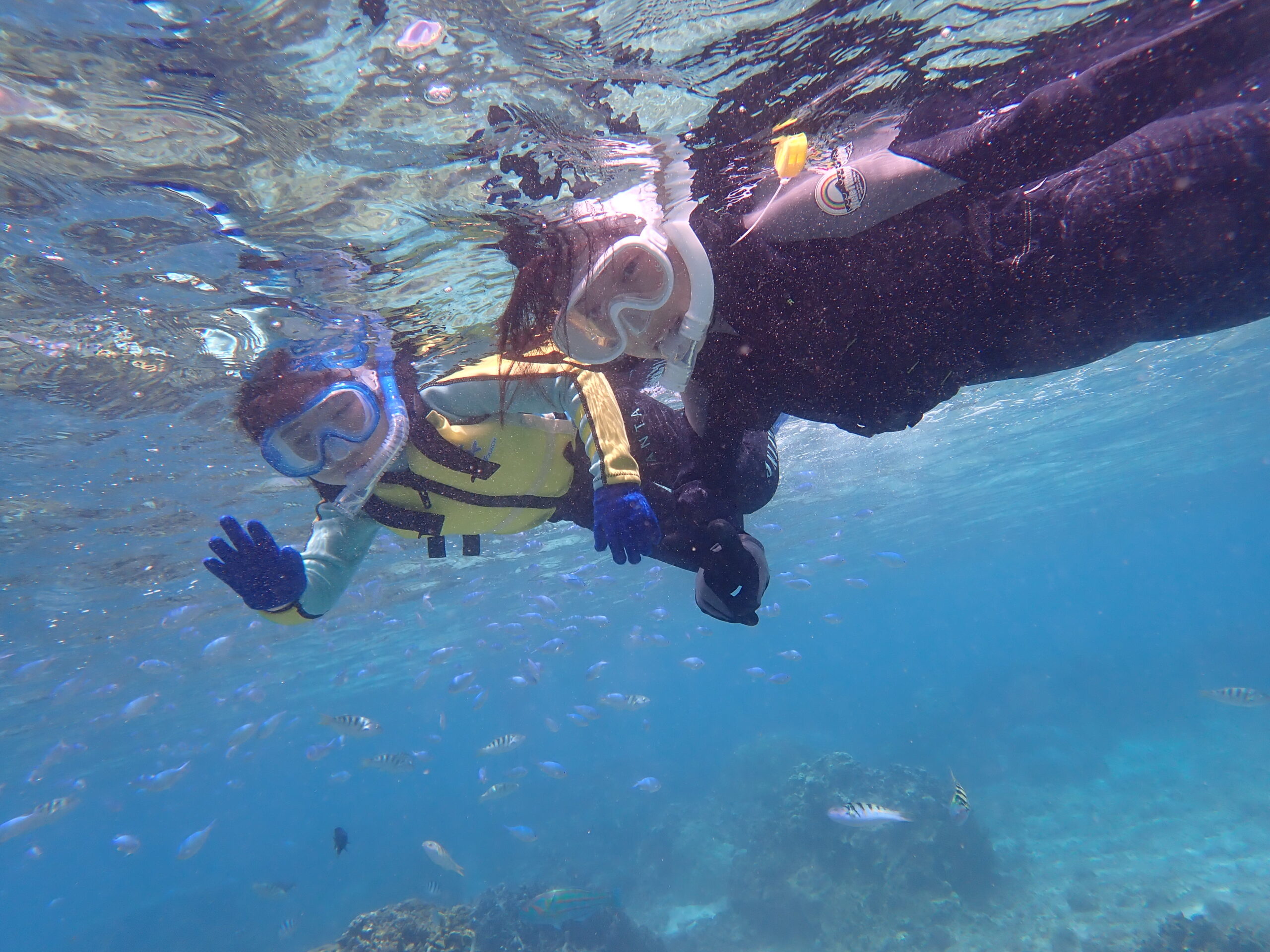 自然体験ジョン万パーク 天然水族感 初心者