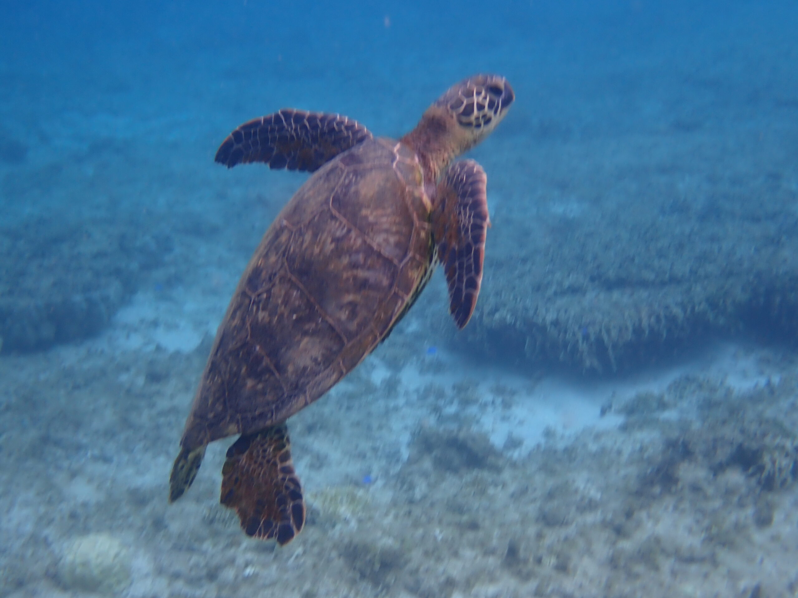 自然体験ジョン万パーク 天然水族感 20代夫婦
