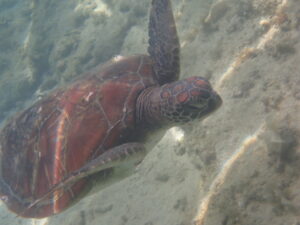 自然体験ジョン万パーク 天然水族感 30代仲間