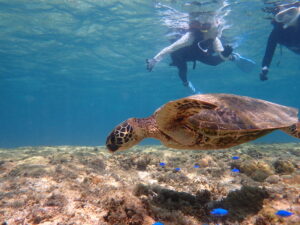 自然体験ジョン万パーク 天然水族感 20代女性