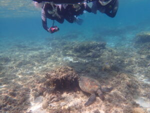 自然体験ジョン万パーク 天然水族感 リピーター