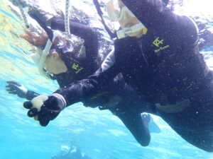 自然体験ジョン万パーク 天然水族感 リピーター