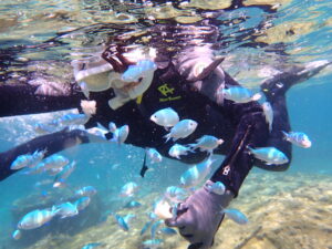 自然体験ジョン万パーク 天然水族感 リピーター
