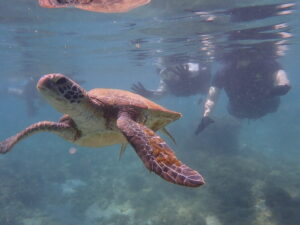 自然体験ジョン万パーク 天然水族感 9歳男の子
