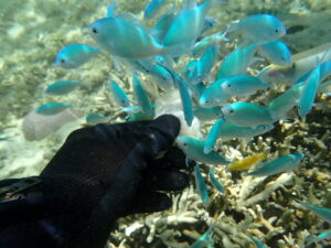自然体験ジョン万パーク 天然水族感 親戚4家族様