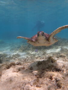 自然体験ジョン万パーク 天然水族感