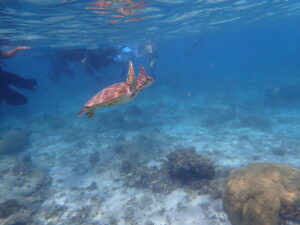 自然体験ジョン万パーク 天然水族感 4歳女の子