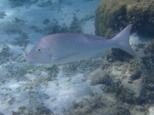 自然体験ジョン万パーク 天然水族感 4歳女の子