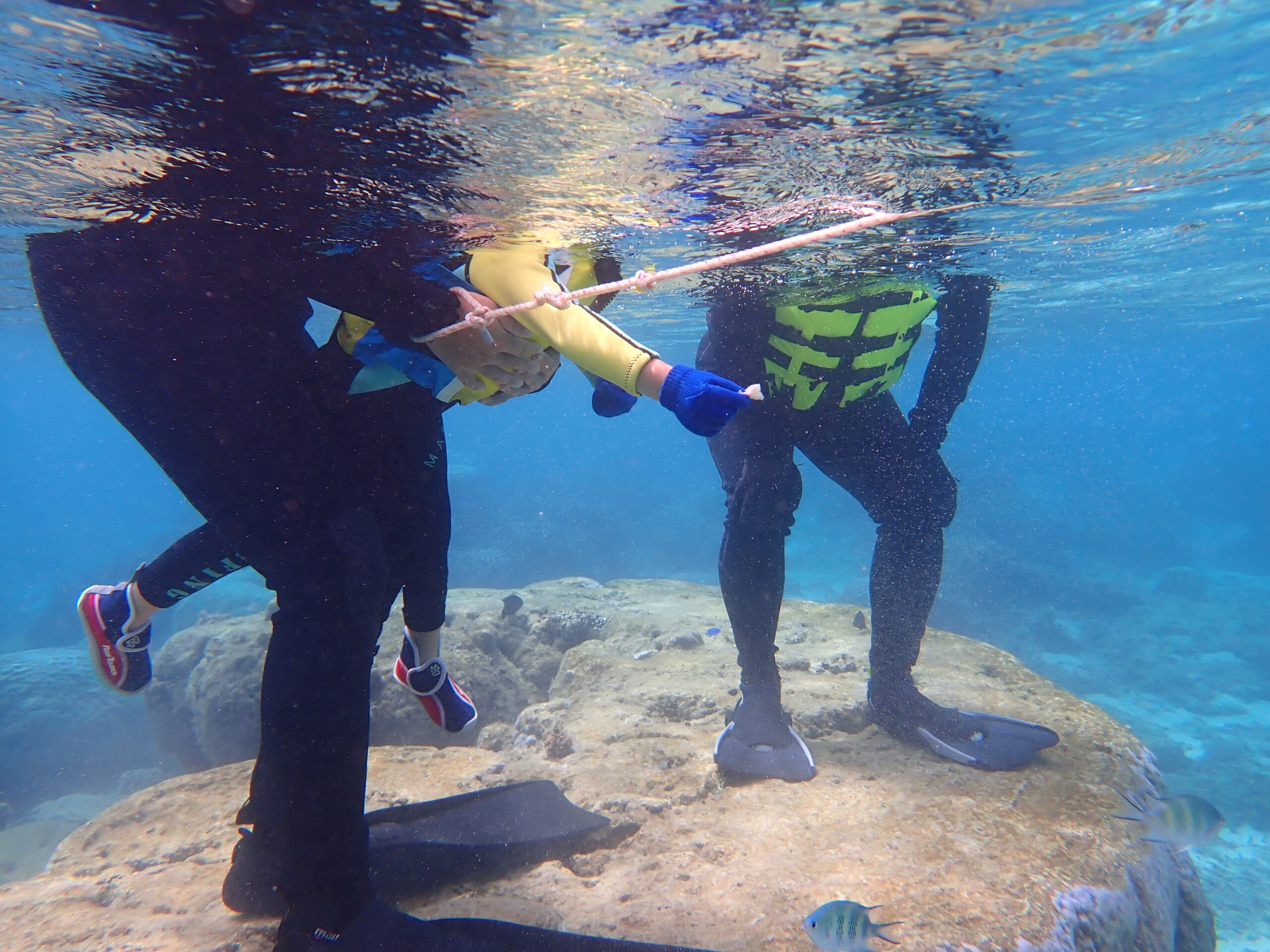自然体験ジョン万パーク 天然水族感 4歳女の子