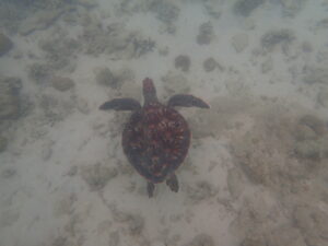 自然体験ジョン万パーク 天然水族感 親戚家族