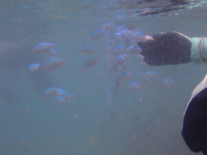 自然体験ジョン万パーク 天然水族感 仲良し家族